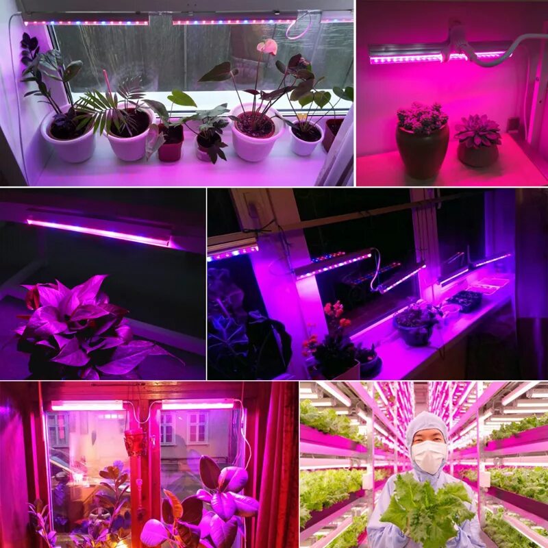 Фитолампа led grow Light. Фитолампа f4054. Фитолампа Гелиос-15. Фитолампа для растений 60w led. Лучшая подсветка для цветов