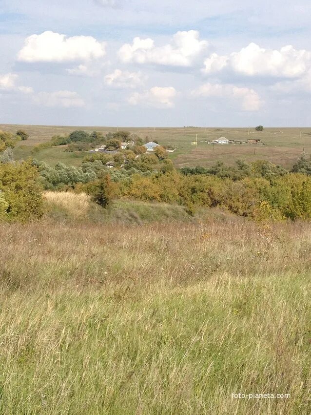 Погода солдатское горшеченский. Погода солдатское горшеченский. Бараново курская область. Курская область село сосновка. Село кулевка в горшеченском районе.