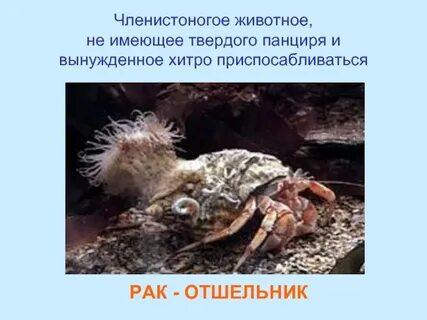 Пользуйтесь твердым