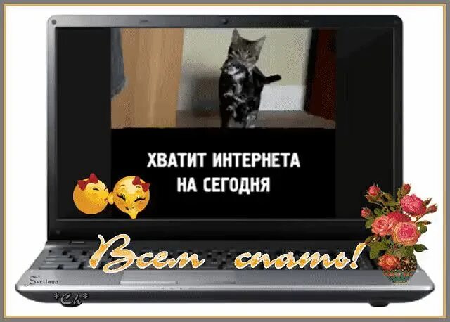 Женщина с пустым кошельком. Недовольный человек у компьютера. Человек сидит в соц сетях. Девушка в растерянности. Кот сердится.