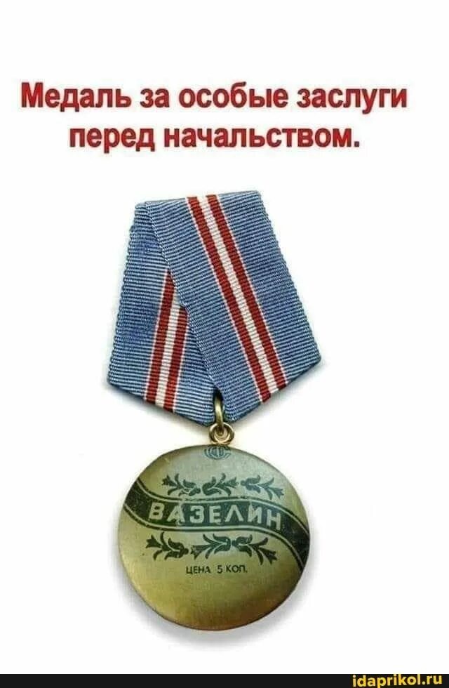 Награда за особые заслуги. Орден за заслуги перед начальством. Медаль вазелин. Орден за особые заслуги перед начальством.