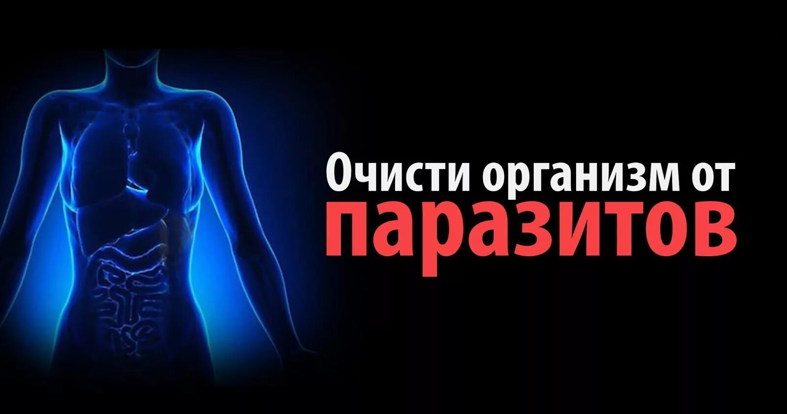 Очищение от паразитов. Очищение организма. очисти организм от паразитов. очищение организма от глистов и паразитов.
