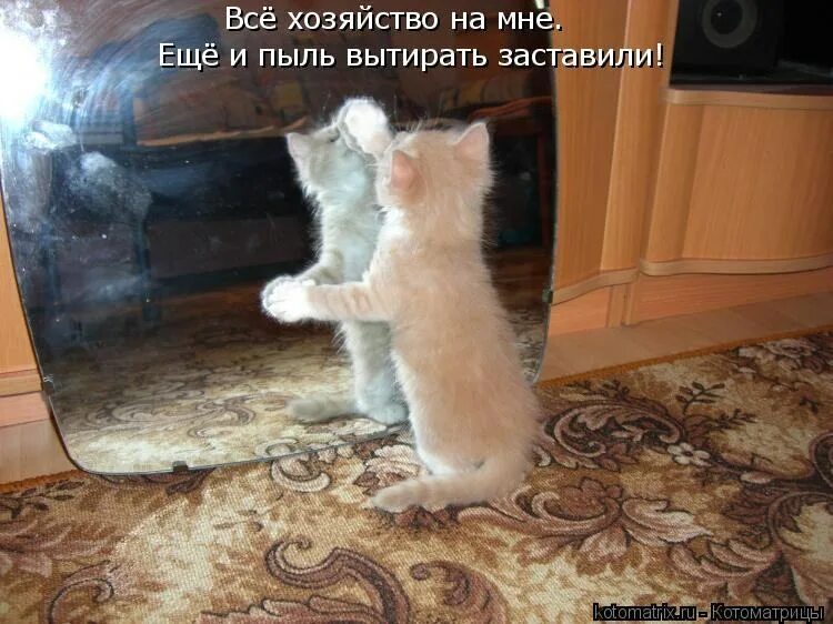 Что ты там записала