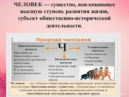 Человек существо воплощающее высшую ступень