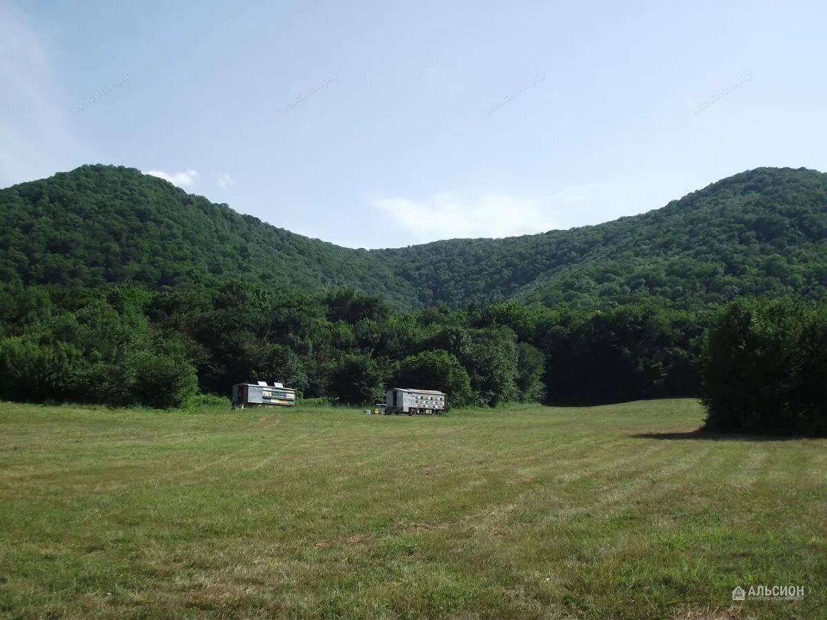 абинск шапсугская. шапсугская краснодарский край. шапшуга абинск. станица шапсугская абинский район краснодарский край. абинск река абин.