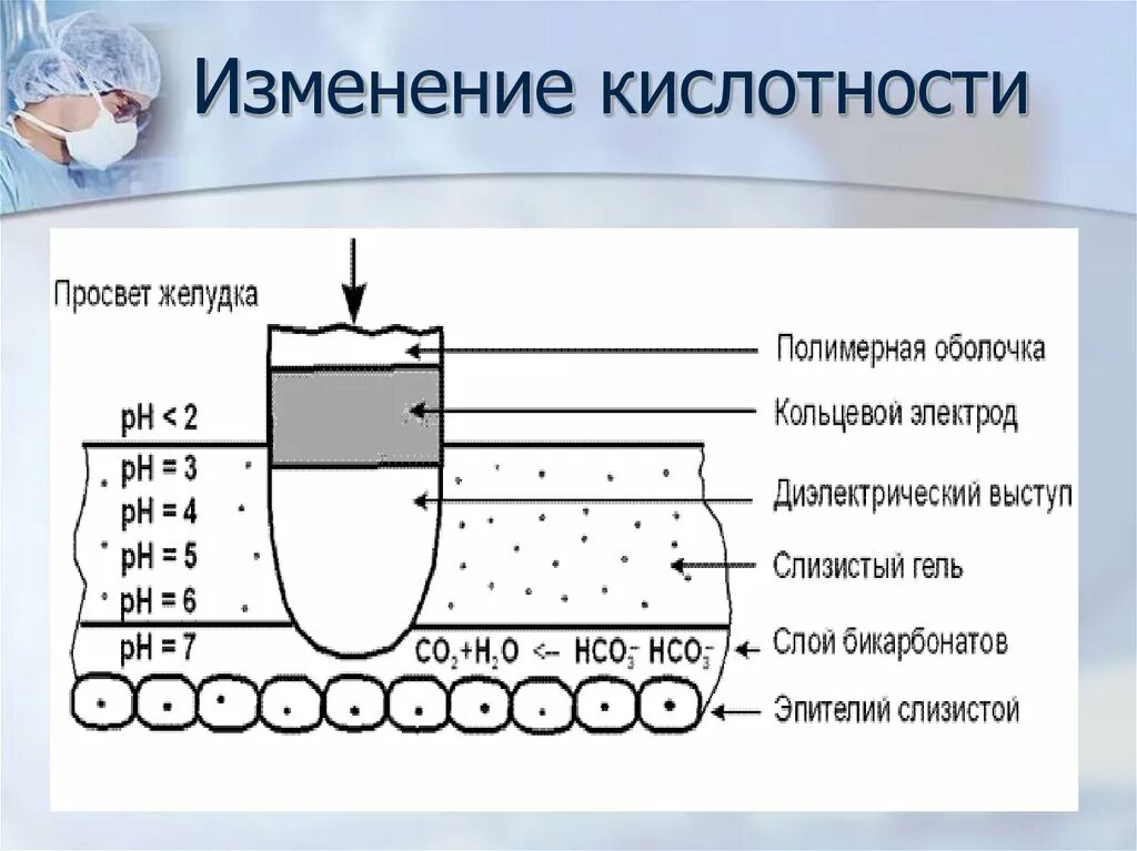 Кислотность желудка форум. Кислотность желудка. PH желудка. Кислотность ЖКТ. Изменение кислотности желудка.