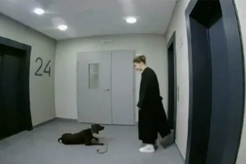 Женщина избивала собаку
