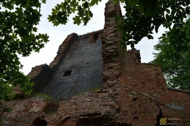 Корнево калининградская. Кирха в Корнево. Калининградская область руины кирхи. Кирха в Корнево Калининградская область. Руины кирхи 1313 Корнево.