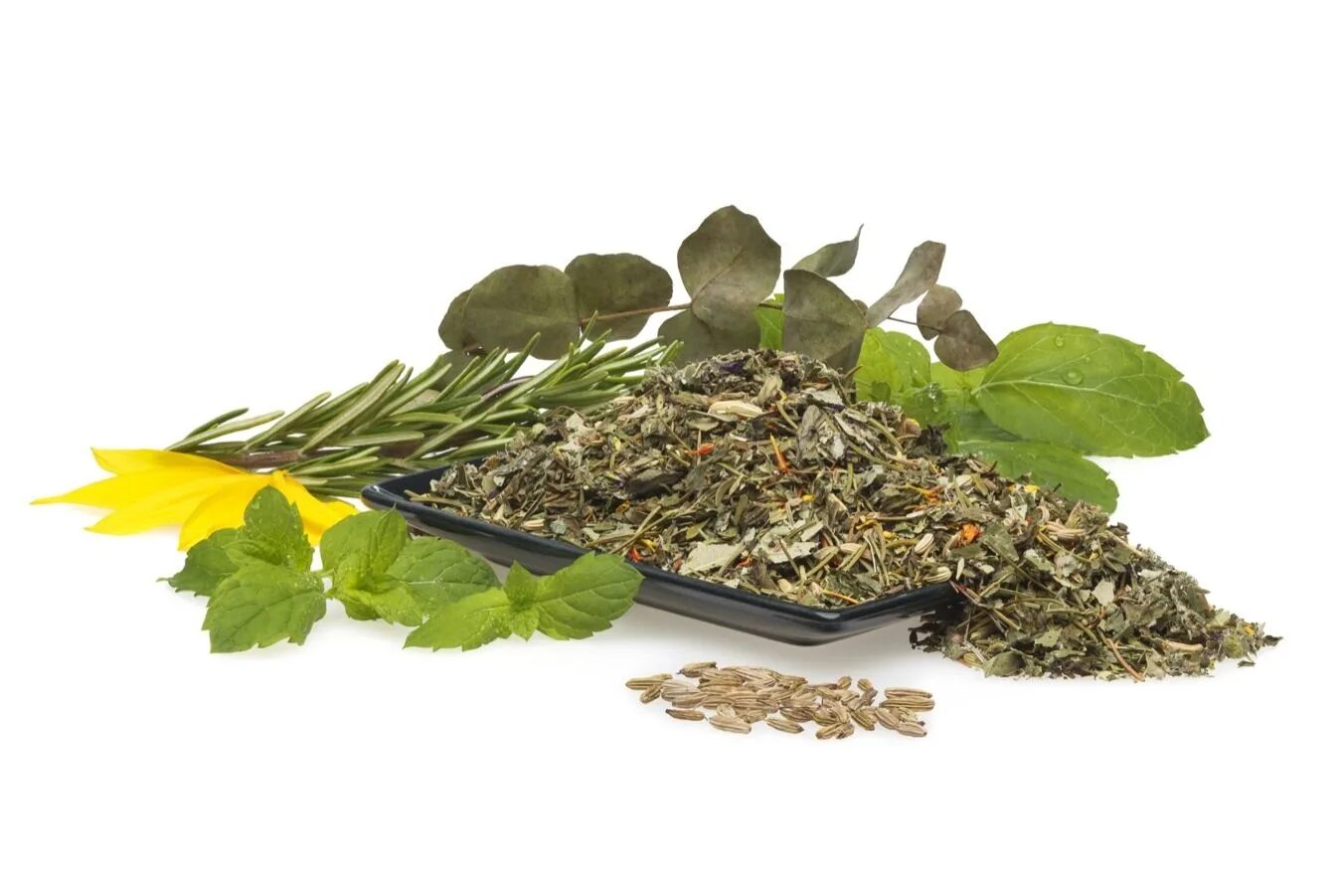 Целебная трава 6. Травяной чай. Травяные сборы. Травы для чая. Лекарственные травы на белом фоне.