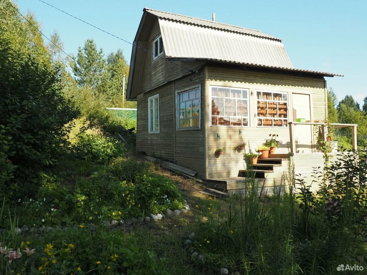 СНТ Березка Архангельск. Илес Архангельск дачи. Сет берёзка Архангельск. СНТ Березка Приморский район Архангельской области. Архангельск ру недвижимость