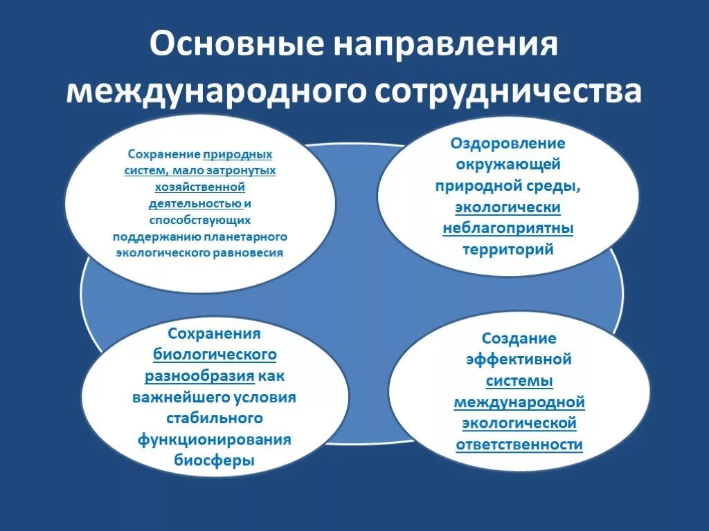 Международная деятельность в образовании. Направления международного сотрудничества. Направления и формы международного сотрудничества. Основные направления международного природного сотрудничества. Основные направления взаимодействия.