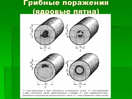 Поражение грибами