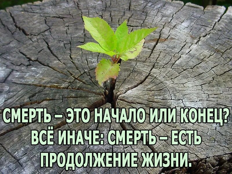 Смерть это начало новой жизни. Смерть продолжение жизни. Смерть это только начало. Цитаты о конце жизни. Конца не будет читать