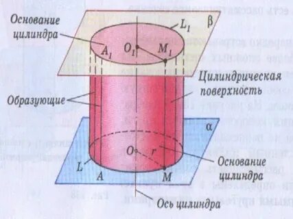 Основания цилиндра это лежащие в