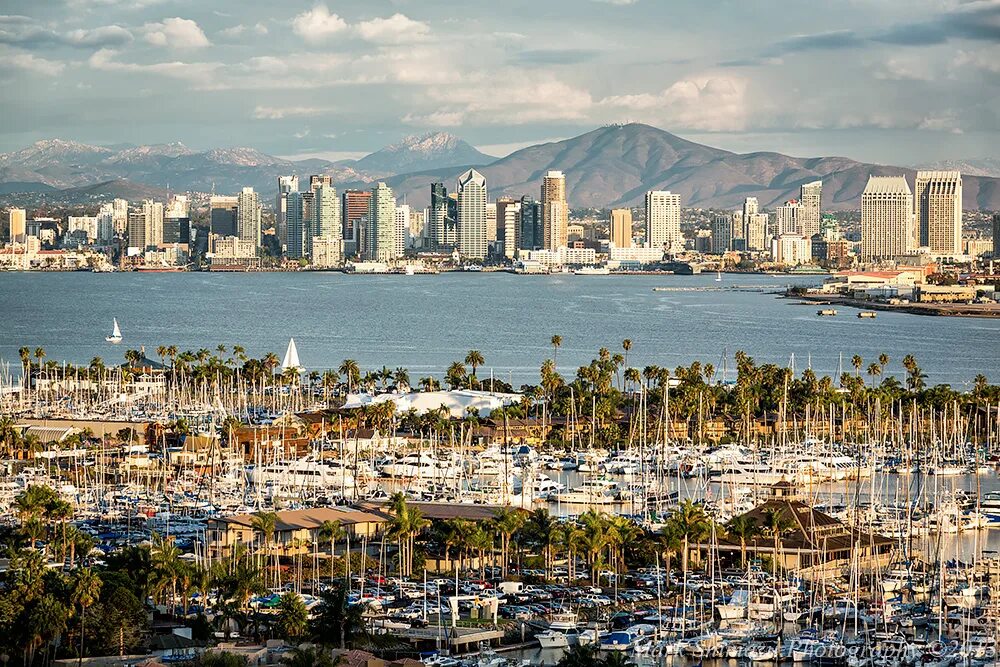 Сан Диего. Сан Диего улицы. San Diego Skyline. Сан Диего фото.