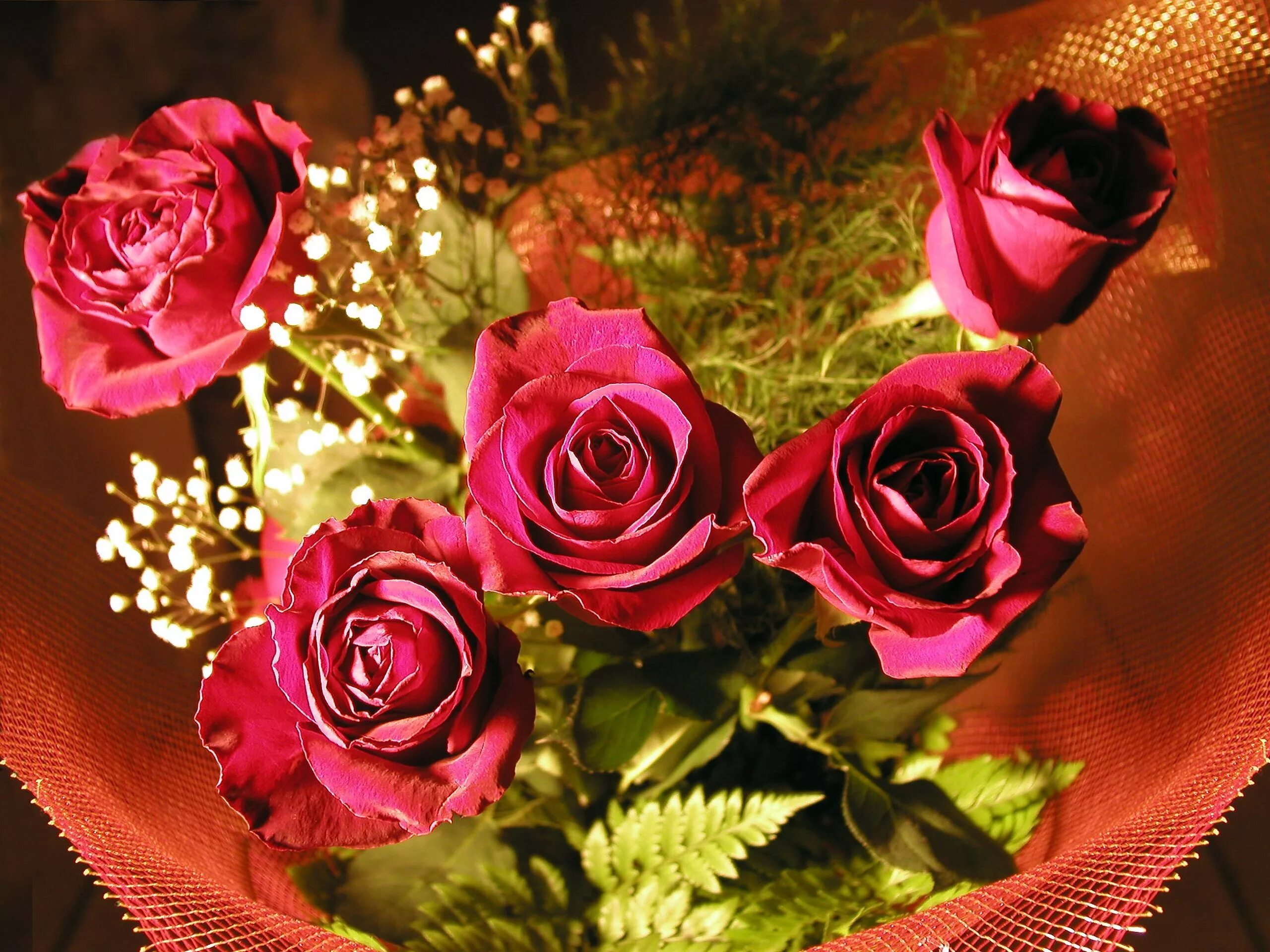Бесплатные красивые оформления фото. Красивые розы. Мерцающие розы. Розы с блестками. Мерцающие цветы.