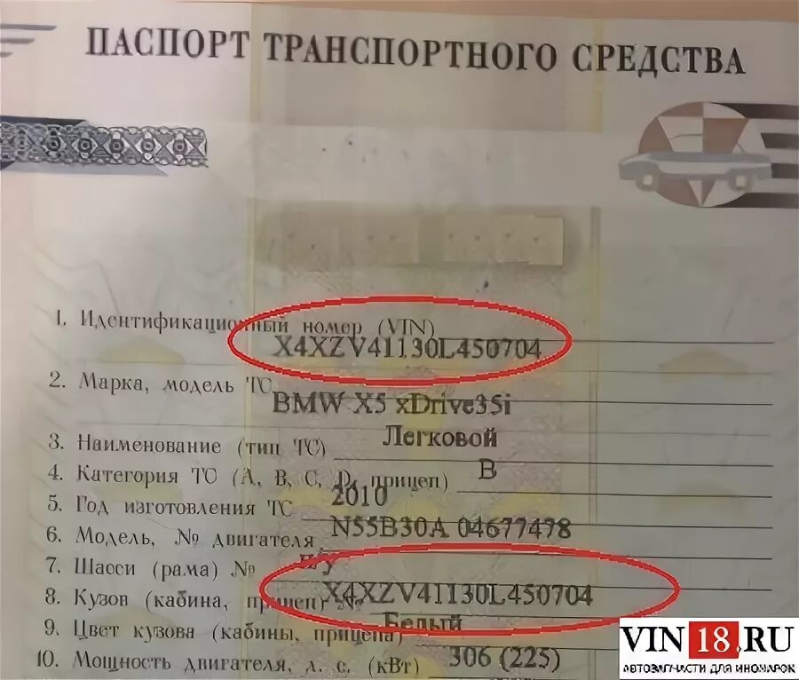 Вин машины ЗИЛ В ПТС. Вин номер в ПТС. Номер кузова в ПТС. Номер кузова автомобиля в ПТС. Идентификационный номер vin отсутствует