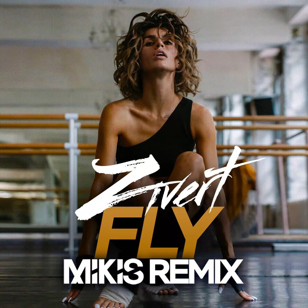 Extended remix mp3. Зиверт Fly. Зиверт обложка. Зиверт обложка альбома.