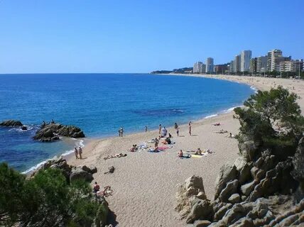 Playa de