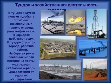Тундра хозяйственная деятельность человека