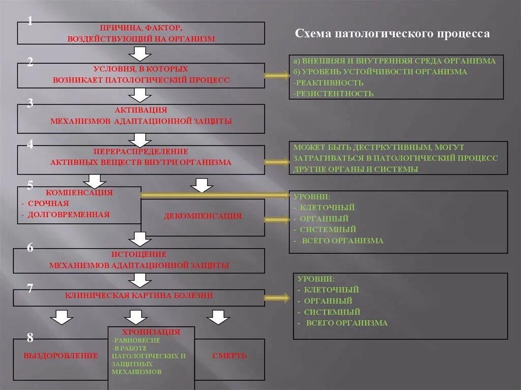 Причины патологических процессов. Патологический процесс схема. стадии патологического процесса. схема фазы развития патологического процесса. формы патологических процессов схема.