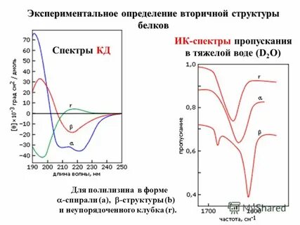 Определите вторичную