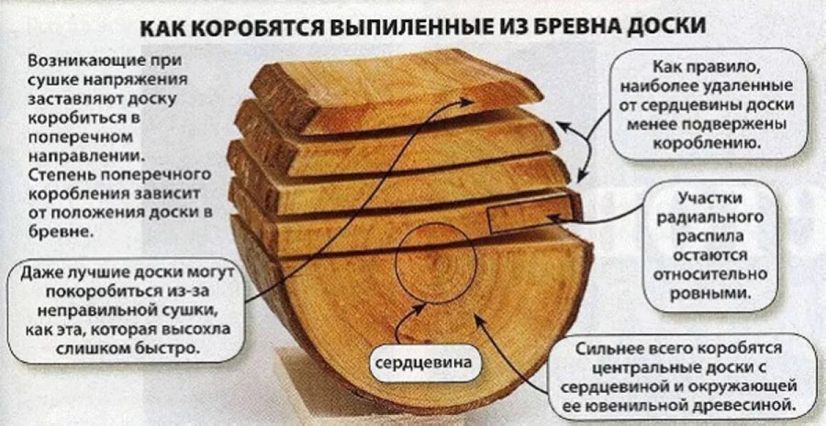 Сколько нужно сохнуть. Деформация древесины. Коробление древесины. Внутреннее напряжение древесины. Коробление древесины при сушке.