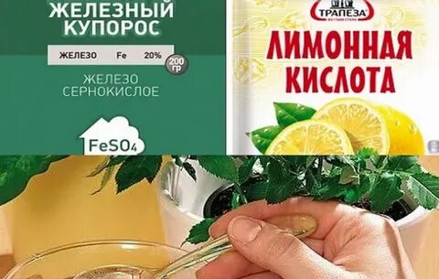Лимонная кислота для растений