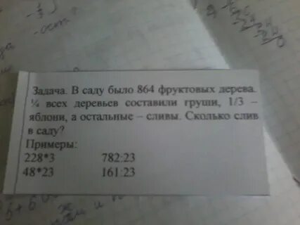 В школьном саду 40 фруктовых