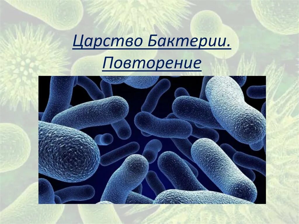 Царство бактерий. Царство бактерии презентация. Бактерии биология. Царства микроорганизмов. Бактерии урок 7 класс