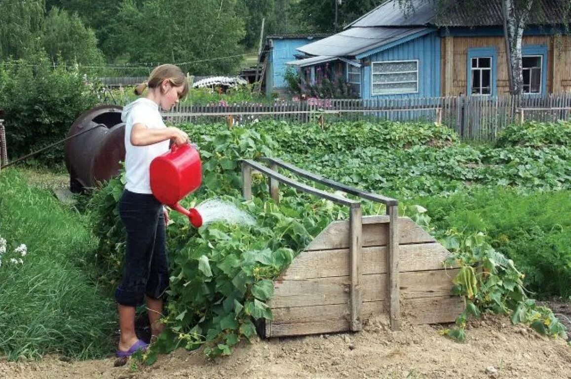 Какие работы есть в деревне. Огород на даче. дачник на огороде. огородники на даче. огород в деревне.