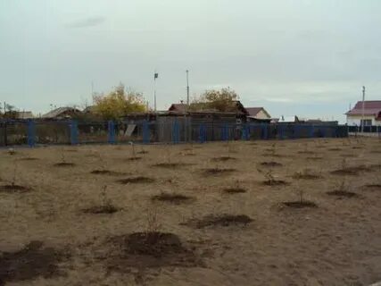 Погода в николаевке на 10 дней