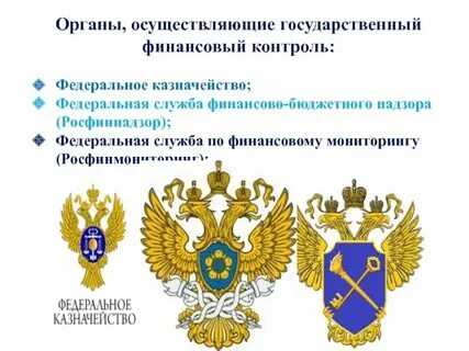 Федеральной службы финансово бюджетного контроля