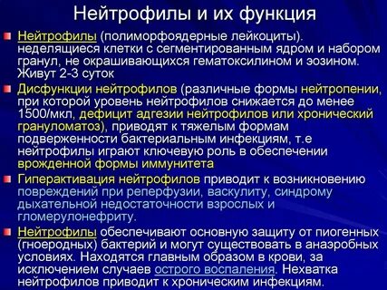 Нейтрофилы при бактериальной инфекции