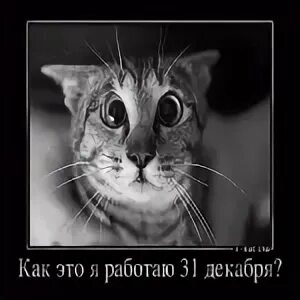 31 работаем