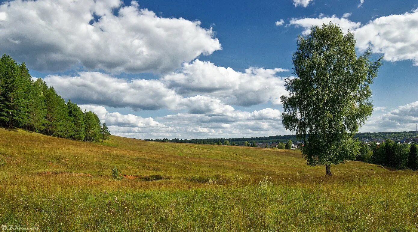 Родина Россия. Родина природа. Природа моей Родины