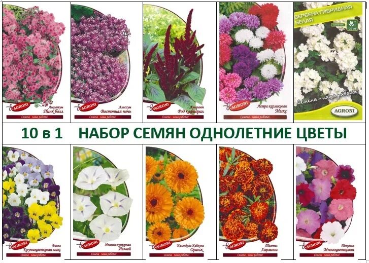 Каталог однолетних цветов. Семена однолетних цветов. Набор семян Agroni. Лучшие семена однолетних цветов. Семена однолетних цветов каталог.