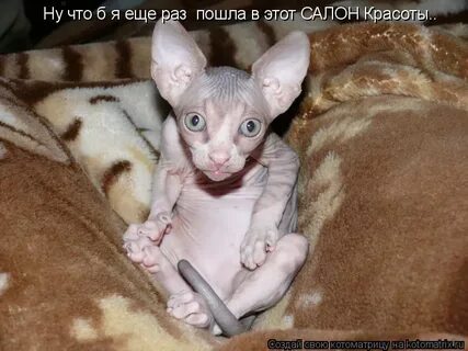 Эх долго