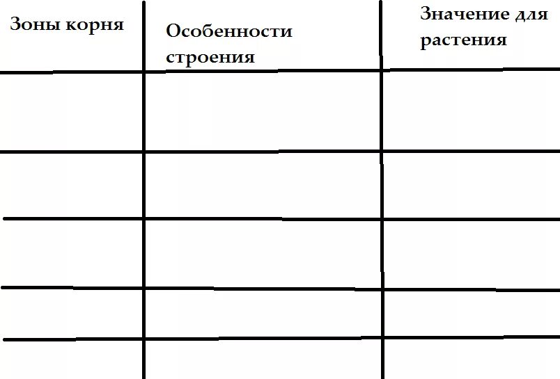 Таблица особенности строения корня растения. Строение корня таблица. Заполните таблицу особенности строения корня растения. Заполните таблицу зоны корня. Биология 6 класс таблица корни