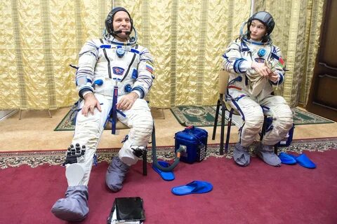 Мс новости на сегодня