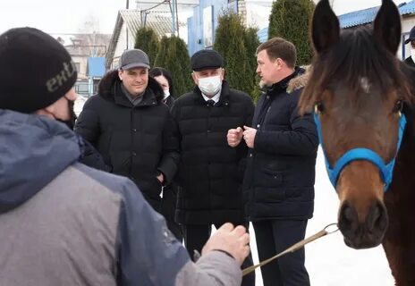 Отмена сегодня в мордовии