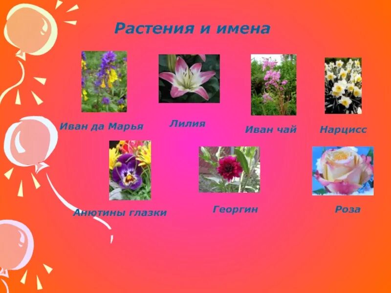 Цветы с именами людей