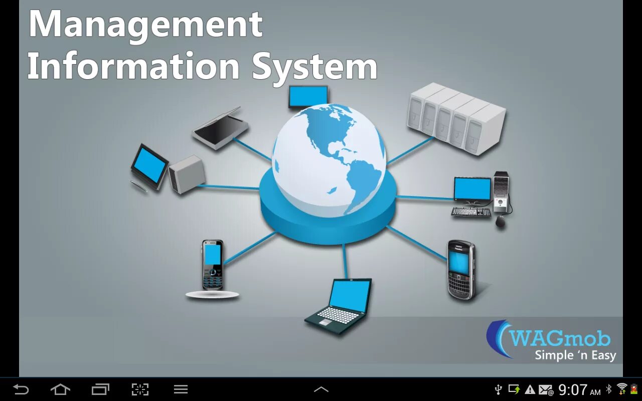 Management information system