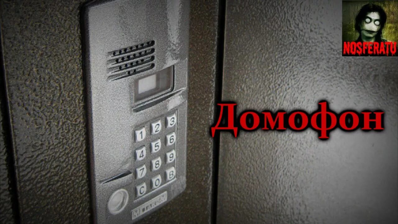 Женщина домофон. Домофон подъездный. Звонок по домофону. Домофон ночью. Человек у домофона.