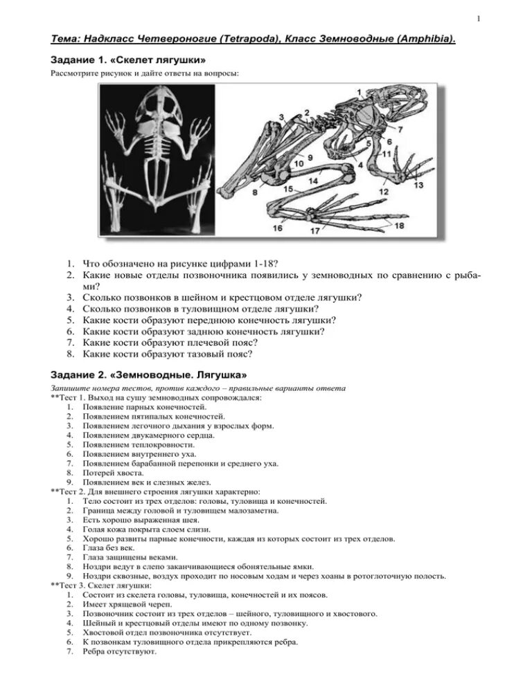 Тест по земноводным 8. Надкласс четвероногие Tetrapoda класс земноводные. Контрольная работа класс земноводные. Задание 1 скелет лягушки. Скелет лягушки тест.