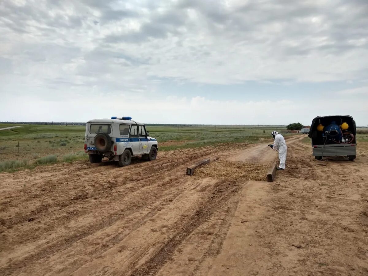 Погода ремонтное на 3. Село Богородское Ремонтненский район Ростовская область. Киевка Ремонтненский район. С Богородское Ремонтненского района Ростовской области. Село Киевка Ремонтненский район Ростовская область.