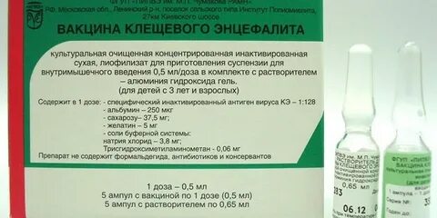 Обязательна ли прививка от энцефалита