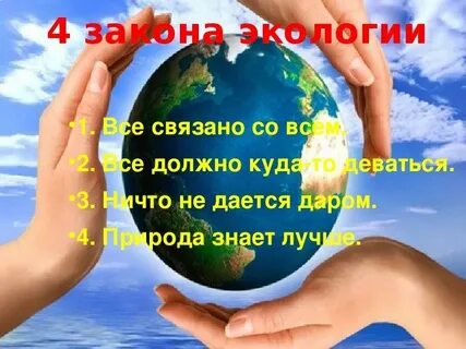 Почему говорят что природа не прощает ошибок