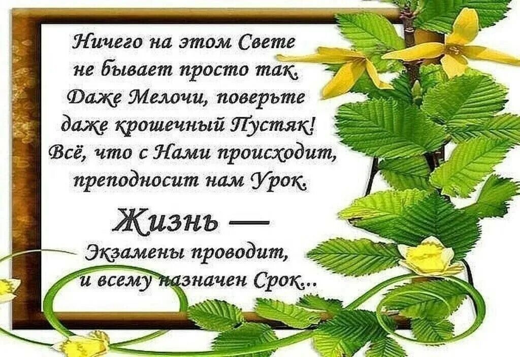 Ничего не бывает вовремя. Стихи цитаты. Простые стихи о жизни. Картинки со стихами о жизни. Красивые стихи афоризмы.