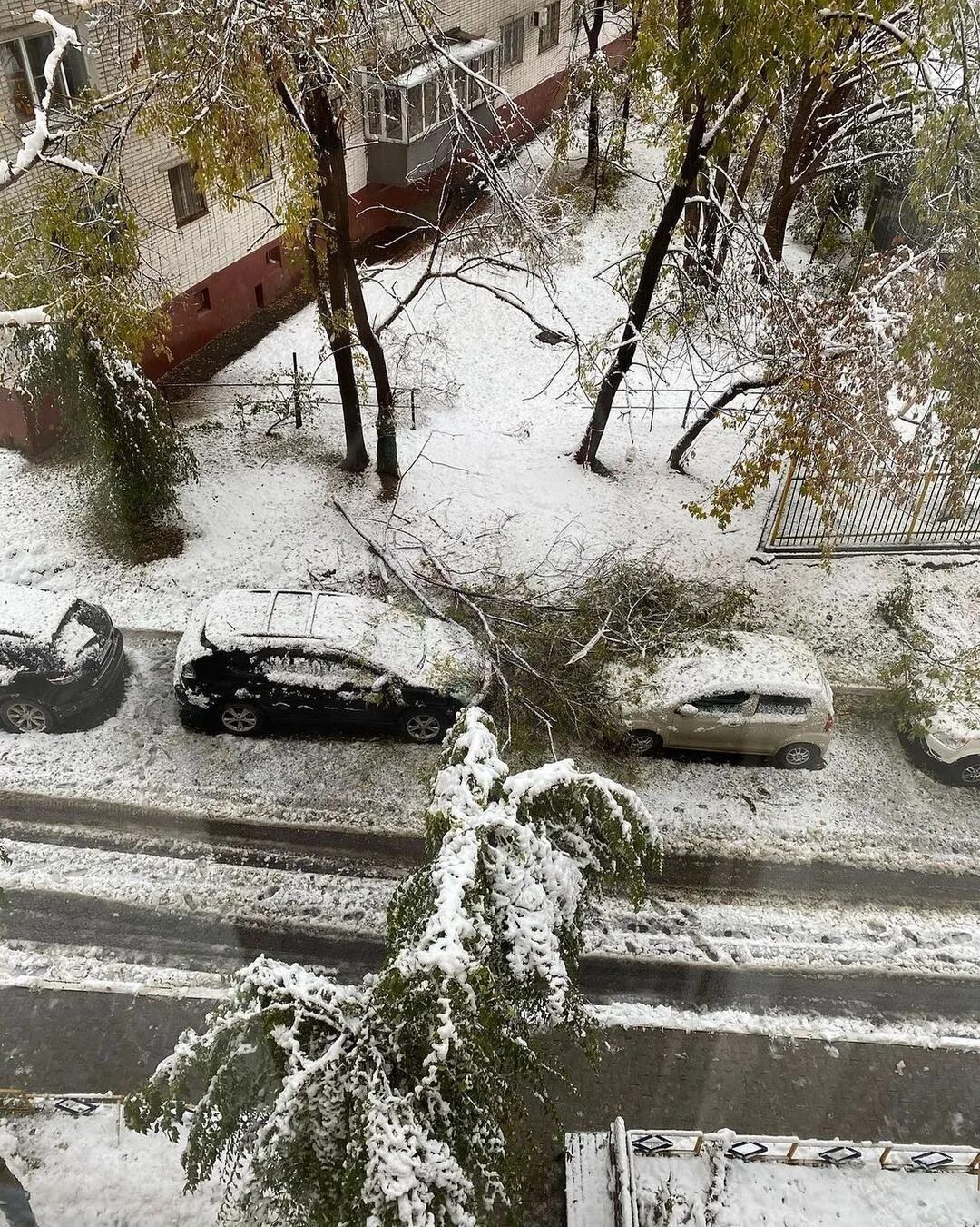 Снежный хабаровск фото. В хабаровске выпал снег. Снегопад апрель 2014. Снег в хабаровске. Погода в хабаровске.